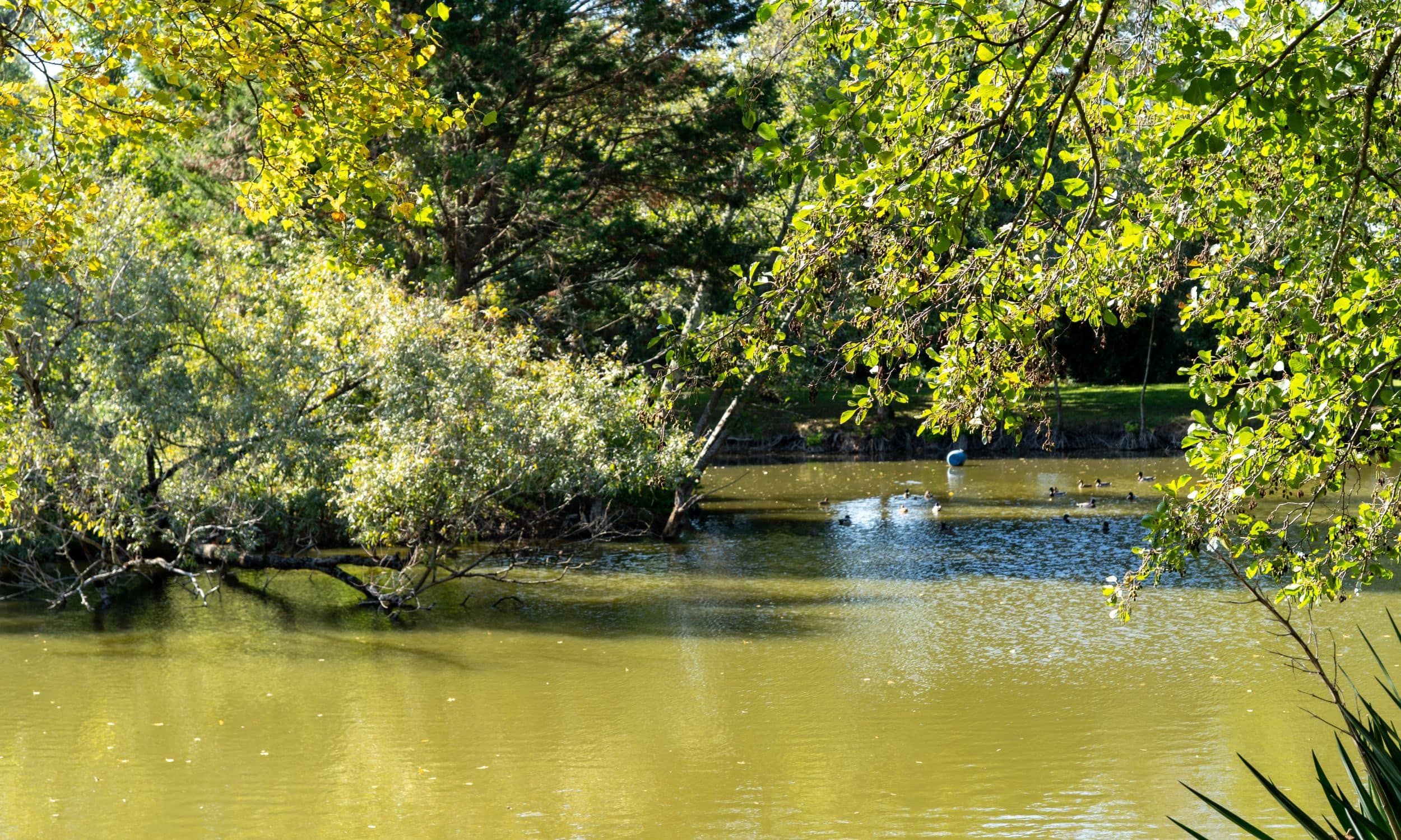 La Faune & Flore en Charente-Maritime